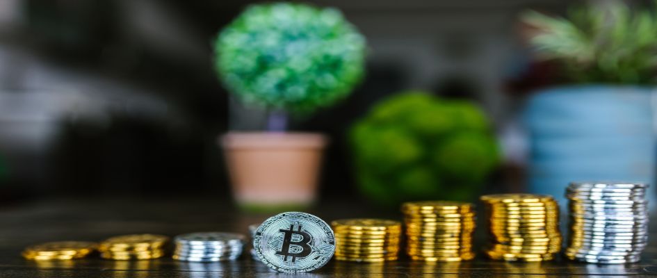A look at BONK, the Solana meme coin that has increased 1,600% in the last week